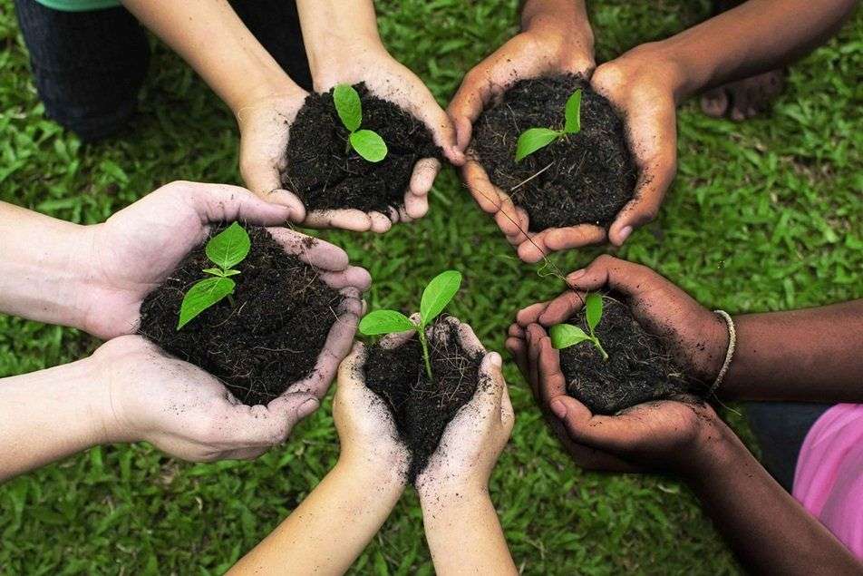 Environment & Caffè di Artisan